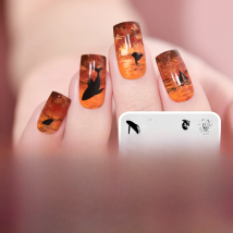 KADS 11 Design Ocean Series Dolphins Conch Fish Mermaid Stamping Nail Art Template Nail Tools Nail Stencil Stamp Nail Plate