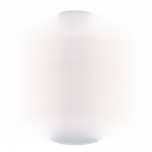 1.5~2.5CM/24&36PC Decorative Real Natural Dried Pressed Snowdrops Heads,Small Lace Flower for DIY Craft Resin Jewellery,Candles