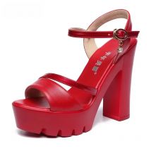 14cm Extreme Block High Heels Shoes for Model Wedding Party Summer 2025 Plus Size 32 33-43 Sexy Chunky Platform Sandals Red