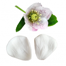 Hellebore Flower Veiners Silicone Molds Fondant Sugarcraft Gumpaste Resin Clay Water Paper Cake Decorating Tools M2186