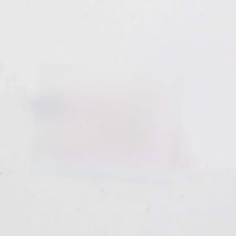 10pcs Aqua Balloon Dog Custom Floating Charms for Glass Locket Watch Necklace Bracelet