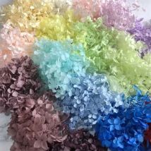 5~5.5g/Lot  Natural Fresh Preserved Flowers Dried Small Leaves Hydrangea Flower Heads For DIY Real Eternal Life Flowers Material