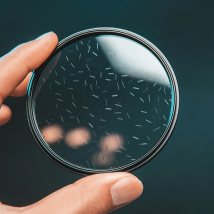 lens Scattere Flare Filter Streaks Special Effect Star Filter Colorful Starlight Brushed Shining Glass Camera Lens Filter