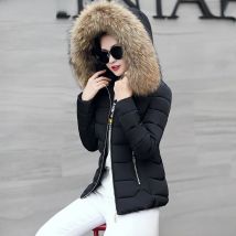 2022 Faux Fur Parkas Women Down Jacket clothes Womens Parkas Thicken Outerwear hooded Winter Coat Female Jacket Cotton padded