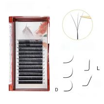 MARIA 3D W Shaped Soft Lash Extension Supplies 0.07 Eyelashes Wholesale Natural Makeup Easy Fan Y Clusters Private Label