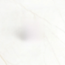 Tai Chi pin Black and White Round brooches Ying yang hand print and dog paw pins denim backpack bag Badges Gift for friend kids