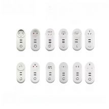 Customized ZigBee 3.0 Smart Socket Plug with 2 USB Interface Tuya Smart Life Remote Voice Control SmartThings Alexa Google Home