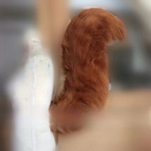 MMGG Doreen Allene Green Squirrel Girl Cosplay Squirrel Tail Costume Accessories