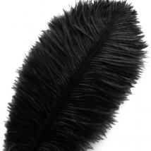 Natural Black Ostrich Feather Plumes 15-70cm Feathers for Crafts Wedding Party Centerpieces Halloween Decorations
