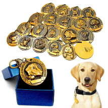 Personalized Dog ID Tag Customized Dogs Tags Nameplate Anti-lost Free Engraving Pet Pendant For Collars Necklace Copper Plated