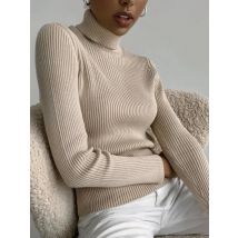 Bornladies Basic Turtleneck Women Sweaters Autumn Winter Tops Slim Women Pullover Knitted Sweater Jumper Soft Warm Pull