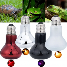 Pet Heating Lamp UVA Day Night Amphibian Amphibian Snake Lamp Heat Reptile Bulb Light 25W 50W 75W 100W AC220-240V