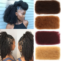 Styleicon Human Braiding Hair Bulk 1 3 4 Bundles Remy Peruvian Afro Kinky Bulk 50 Gram/PCS  #2#4#27#30#99J Crochet For Braiding