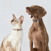 Luxury Cat Collar Lucky Clover Pet Necklace PU Leather Adjustable Cat Dog Collar Small Medium Dog Pet Accessories Perro Supplies