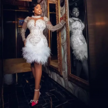 Short Prom Dresses With Major Beads Crystals Feathers lace Long Sleevs Celebrity Pageant Gowns Aso Ebi Evening Gown customsized