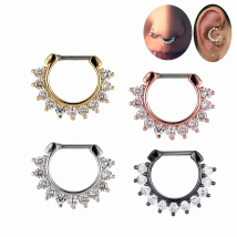 G23titan Womens Body Jewelry Piercing Hoops Nose Seputm Ring Titanium Clicker Crystal Ear Daith Earring