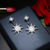 Statement Big Star Full Zircon Drop Earrings Fashion Elegant Luxurious Ear Jewelry For Women Bijoux