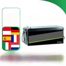 New 12V 24V 48V 100Ah 200Ah 300Ah LiFePO4 Battery 12.8V 51.2V Lithium Iron Phosphate Battery Built-in BMS For Solar Boat No Tax