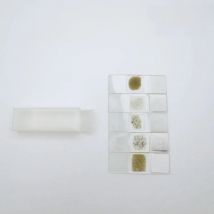 5 Pcs Set Prepared Microscope Rock Mineral Thin Sections Slides