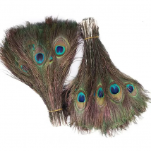 10Pcs/lot Peacock Feather Length 25-30cm10-12" Natural Peacock Feathers for Crafts Peacock Decorations for Home Hotel Decoration