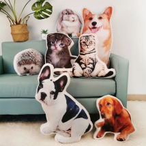 Photo Custom Pet Pillow Figure Cartoon Animation Cats Dogs Cute 3D Simulation Special-shaped Print Cotton Cushion Custom-made