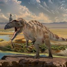 PNSO Prehistoric Dinosaur Models:61Fergus the Acrocanthosaurus