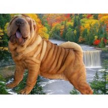 Cute Dog DIY 5D Diamond Painting Shar Pei Pet Cross Stitch kits Diamond Embroidery mosaic Home Decor 3d picture of rhinestones
