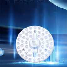 36W 24W 18W 12W LED Ring PANEL Circle Light AC220V LED Ceiling board the circular lamp board LED ceiling lamp replacement chip