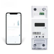 TOMZN 1P+N 65A Tuya WIFI Smart Bidirectional Energy Meter timer Power Consumption Monitor kWh Meter Wattmeter SMARTLIFE