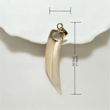 1 Pc Natural Irregular Shape Shell Inlaid Artificial Opal Pendant, Long Horn Women's Necklace To Make Accessory PD093