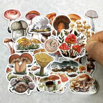 40PCS Cute Freehand Style Mushroom Fungus Travel Mini Diary Stickers for Scrapbook Journal Luggage Cup Phone Laptop Sticker Pack
