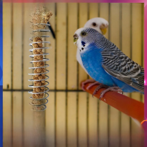 Stainless Steel Bird Feeder Fruit Vegetable Basket Perch Stand Holder Bird Supplies Fruit Vegetable Millet Container Bird Toy