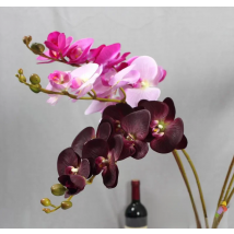 1 Stem Real Touch Latex Artificial Moth Orchid Butterfly Orchid Flower for new House Home Wedding Festival Decoration F472