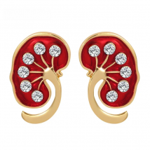 1 Pair Kidney Shape Pin Medical Jewelry as Gift for Nephrologist/Doctors Red Crystal Enamel Jewellery Women Lapel Pin Shirt Bag