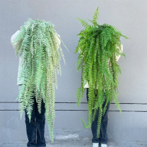 120cm Artificial Green Plants Persian Leaf Large Wall Hanging Fern Leaves Vines Outdoor Bars Restaurants Decoration Materials
