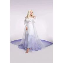 Miccostumes Elsa Queen Blue Ice Cosplay Costume Dress Gown for Women long Dress Halloween Cosplay Costumes
