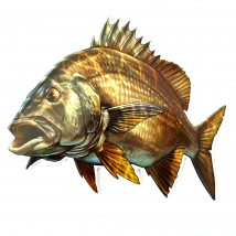 20cm Perch Snapper Tuna Scorpionfish Big Sea Fish Waterproof Sticker for Fisherman Fishing Boats Luggage Motorcycle Car Stickers
