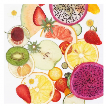 Dried Pressed Fruit Vegetable Slice Plant Herbarium For Jewelry Postcard Invitation Card Phone Case Bookmark Candle Bookmark DIY