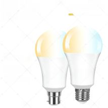 Tuya LED Bulb WIFI Smart Life APP Timing Brightness Temperature Adjustment Alexa Google Home 220V E27 B22 Lamp Voice Control
