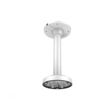 LevelOne CAS-7317 Cámaras de seguridad y montaje para vivienda Monte