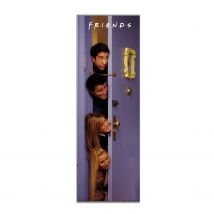Póster Puerta Friends Door 53 X 158 Cm - Gran Calidad de Impresión