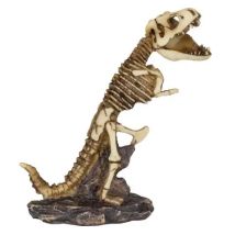 Figura de resina esqueleto dinosaurio Tole1