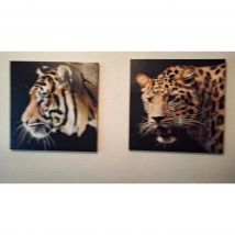 Pareja de Cuadros en Lienzo de 50x50 Cm - Decoración de Pared