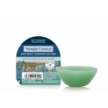 Yankee Candle 1750735E vela Otro Agave, Áloe Verde 1 pieza(s)