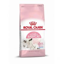 Pienso ROYAL CANIN MOTHER & BABYCAT para gatitos y hembras lactantes - 400g