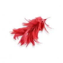 MONTAJE DE PLUMAS - CUELLO DE GALLO Raíz Productos de Google Shopping Inicio PLUMAS MONTAJES DE PLUMAS NOVEDADES