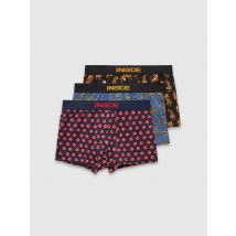 Pack de 3 bóxers Animales con estampados de tigres, panteras y tucanes en colores vibrantes INSIDE