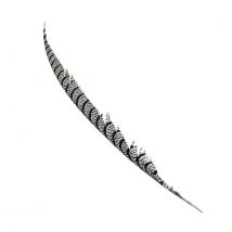 Pluma de Faisán Lady Amherst 87,5-100 Cms - Variedad de Colores Hermosos para Decoración Manualidades y Colección Exclusiva