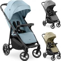 HAUCK Silla de paseo SHOP N CARE ligera y plegable con una mano hasta 22 kg de Hauck