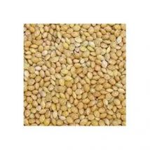 Mijo Blanco DISFA para Aves, 1 Kg - Rico en Minerales y Proteínas